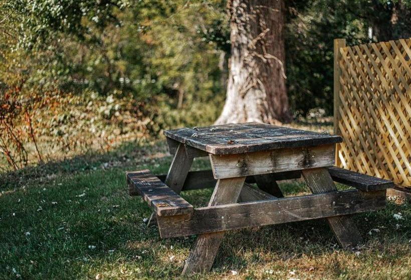 汽车旅馆  Camp Tidbit