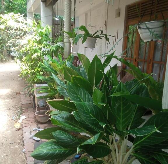 Pensjonat Oshee Home