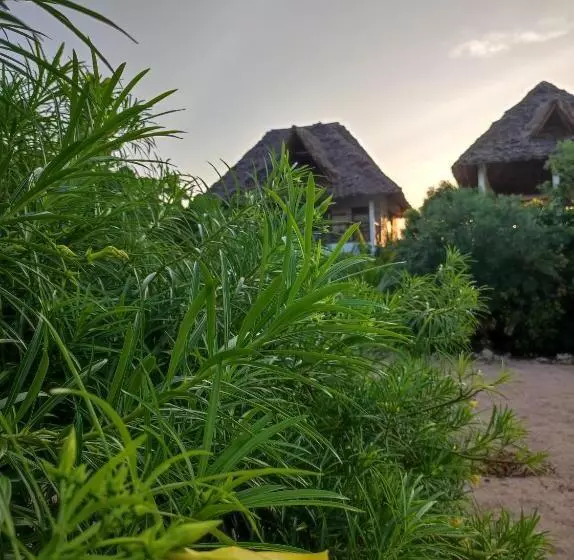 Secret Place Hotel By Hello Tanzania Tours& Safaris