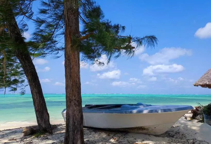Secret Place Hotel By Hello Tanzania Tours& Safaris
