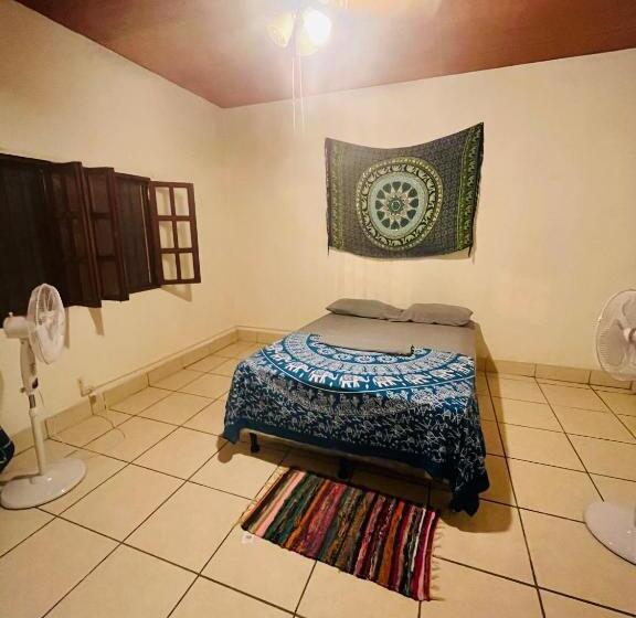 هاستل Around Jsm Granada