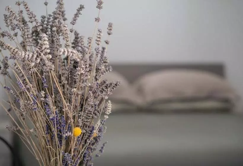 Aamiaismajoitus (B&B) G&b Suite