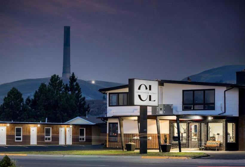 酒店 Copperhead Lodge
