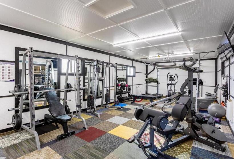 酒店 Copperhead Lodge