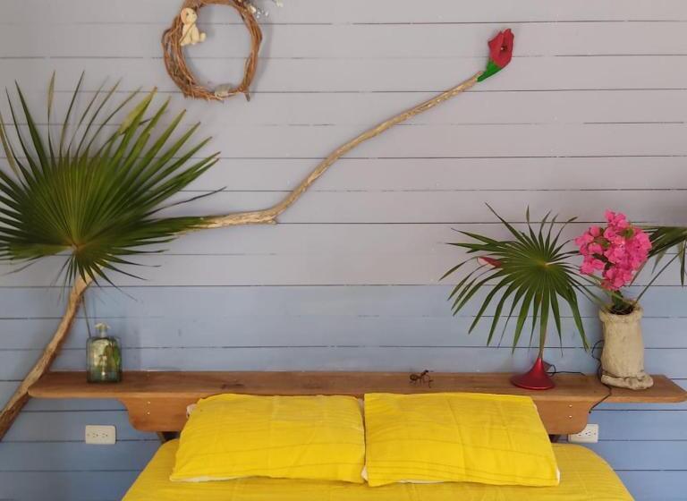 Pansiyon Animal Paradise