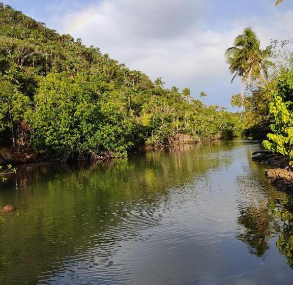 Pansiyon Animal Paradise