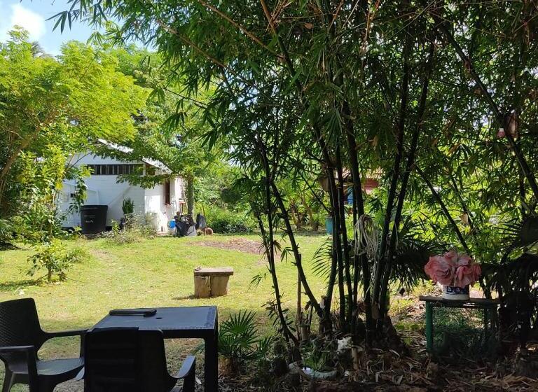 Pansiyon Animal Paradise