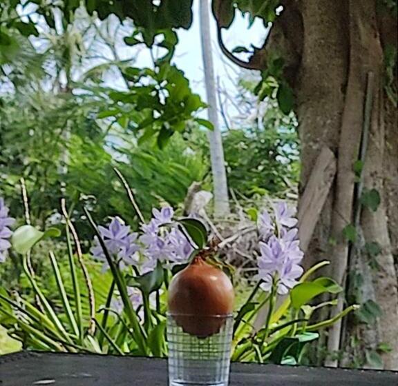 Pansiyon Animal Paradise