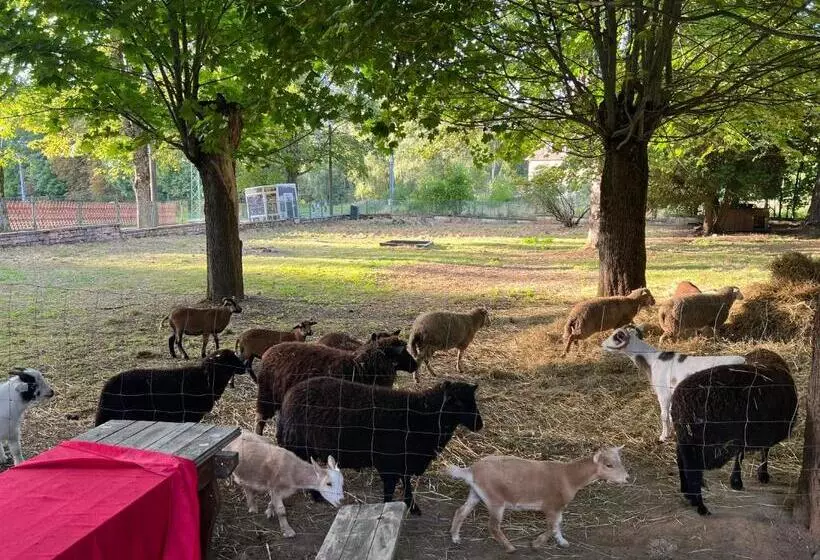 Majatalo Villa Berolina