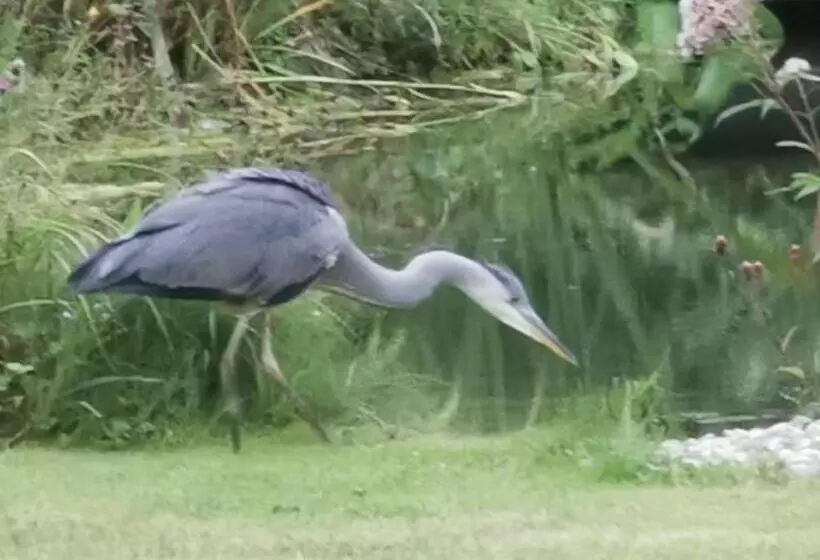 Scrab&ble Ecologische Gastenkamers