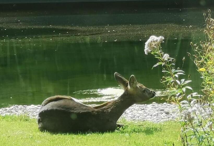 Scrab&ble Ecologische Gastenkamers
