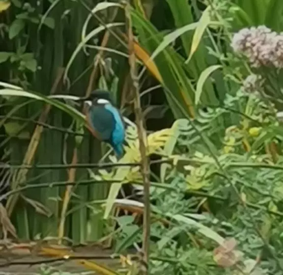 Scrab&ble Ecologische Gastenkamers