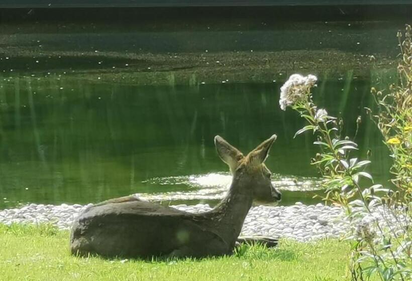Scrab&ble Ecologische Gastenkamers