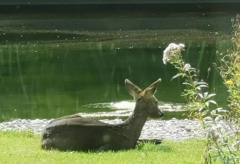 Scrab&ble Ecologische Gastenkamers