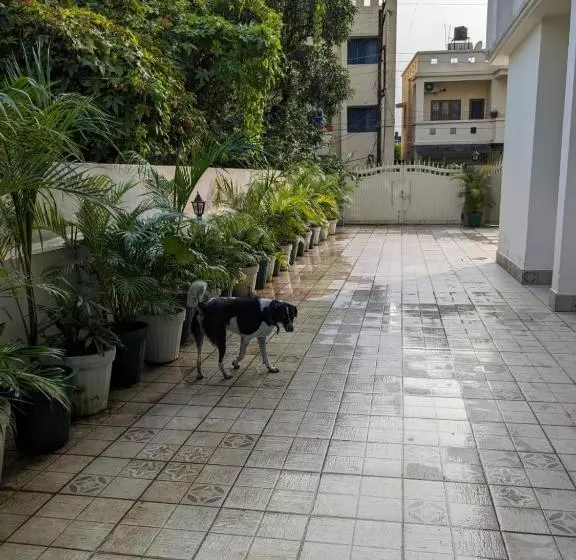 ベッドアンドブレックファースト 15 Verandah