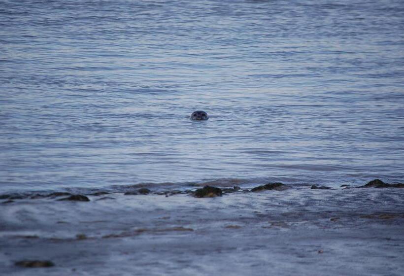 ベッドアンドブレックファースト Le Relais De La Baie   Chambres D Hôtes