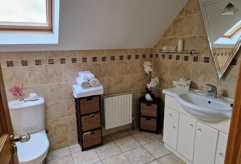 مبيت وإفطار Mountain View Kingscourt