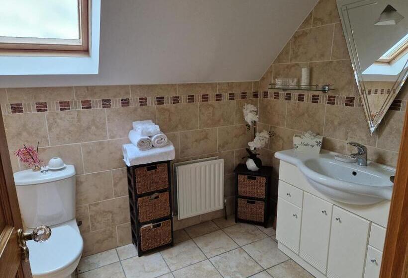 مبيت وإفطار Mountain View Kingscourt