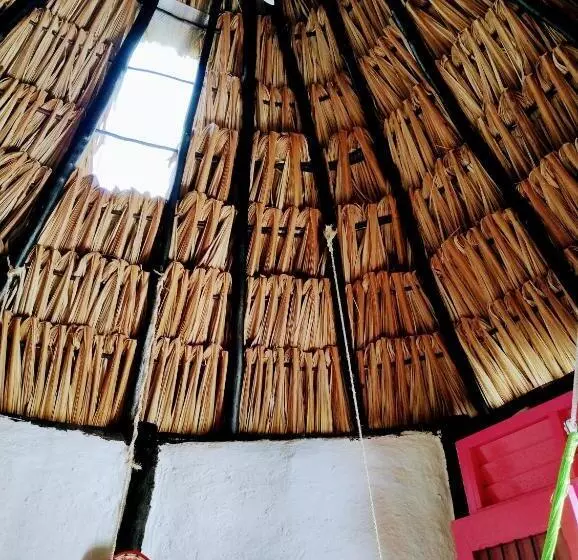 ホテル Y Museo Aldea Maya Toktli Orígenes   Casa Maya Melipona   Alberca, Wifi Starlink, Tour Museo