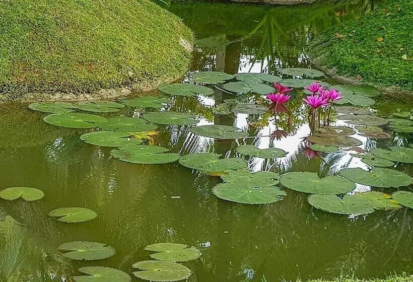 Hotelli Lavendish Wild Wilpattu