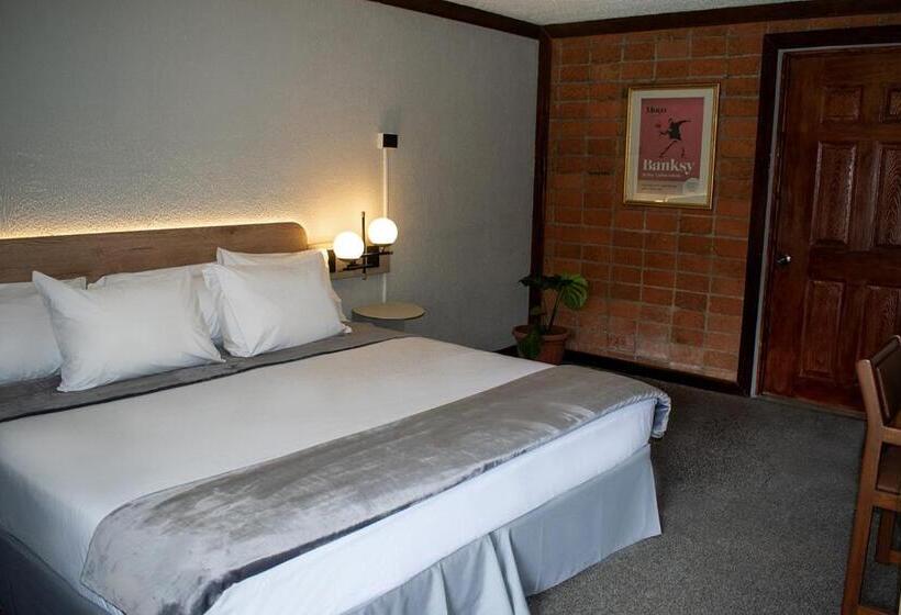 酒店 Soy Local San José