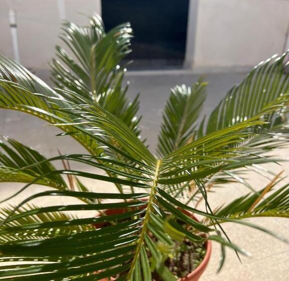 פנסיון Casa Vacanze Rajanzino