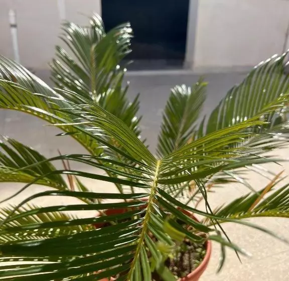 Majatalo Casa Vacanze Rajanzino