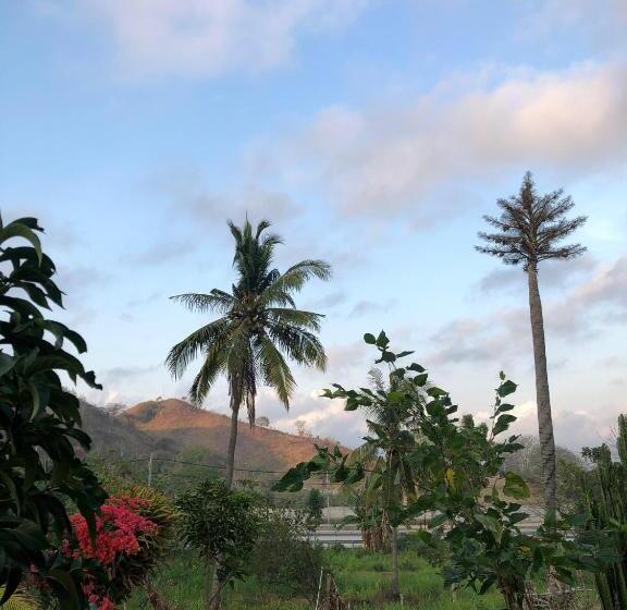 Pensió Rara Guest House