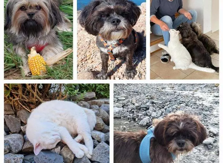 Aamiaismajoitus (B&B) Zimmer Mit Eigenem Badezimmer