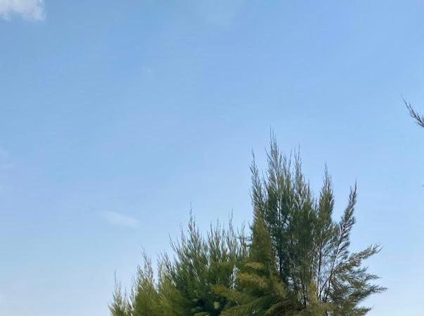 Ghodran Hotel And Resort