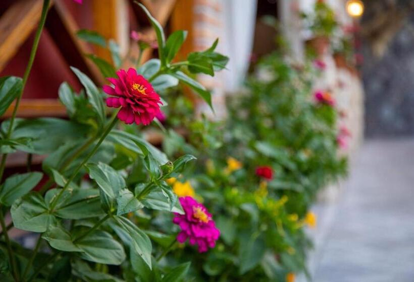 پانسیون Museum Guest House Muzey Ailəvi Qonaq Evi