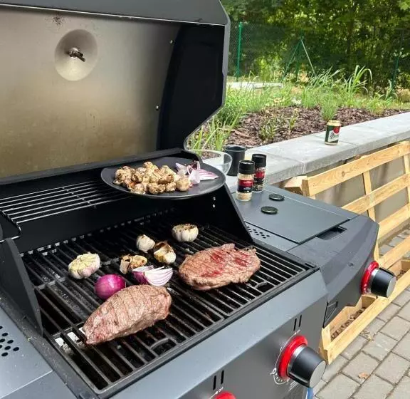 ペンション Penzion Nofasada