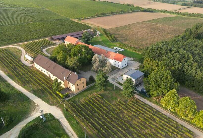 膳宿费 Penzion Nofasada