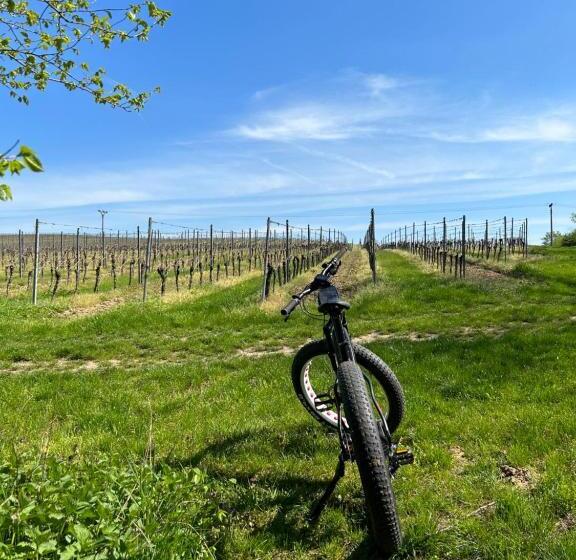 膳宿费 Penzion Nofasada