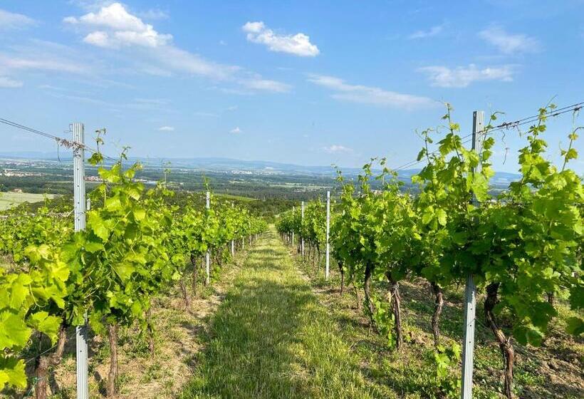 膳宿费 Penzion Nofasada