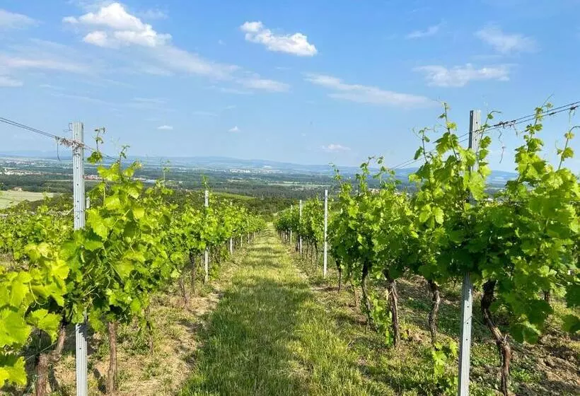 ペンション Penzion Nofasada