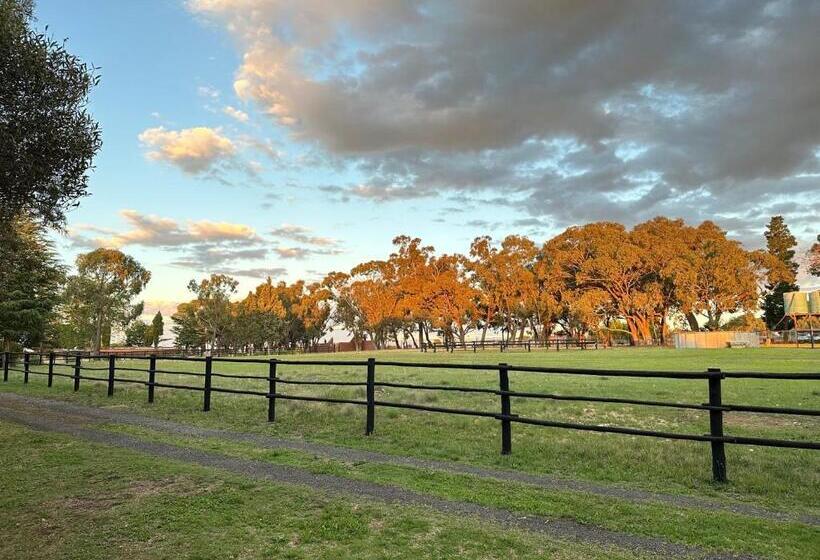 بنسيون Serenity Stay