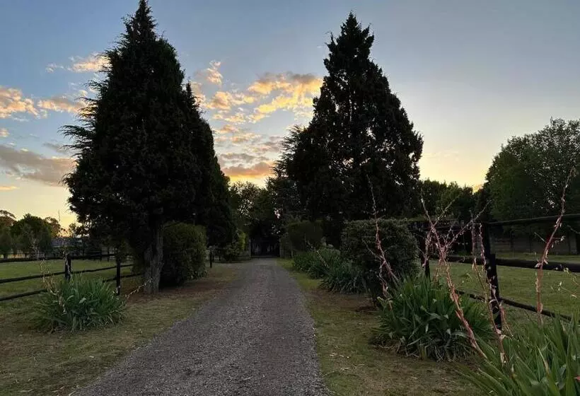 ペンション Serenity Stay