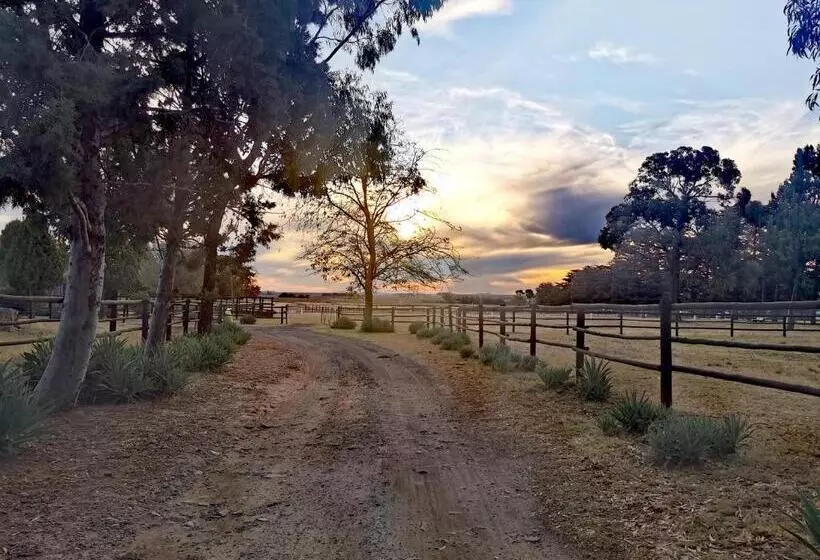 ペンション Serenity Stay