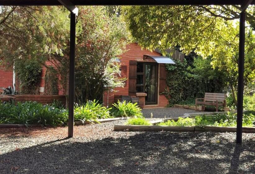 بنسيون Serenity Stay