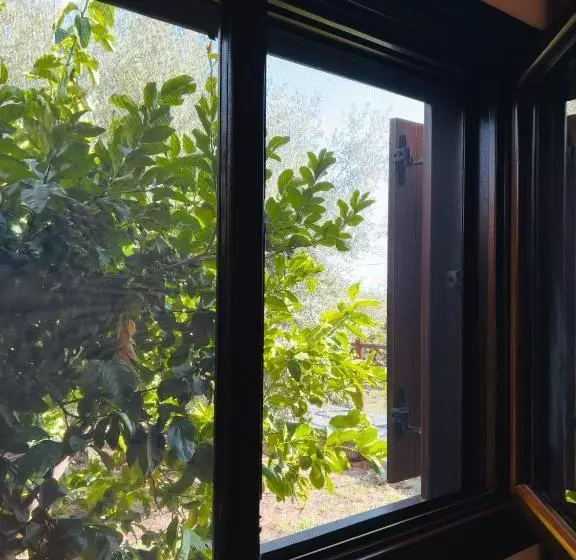 Majatalo Terre Villa Katia