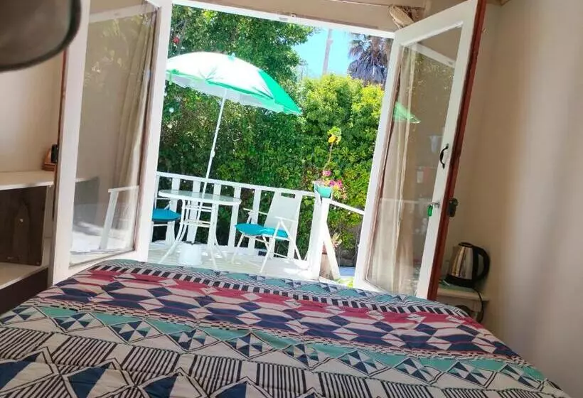 The Ocean Bed & Breakfast