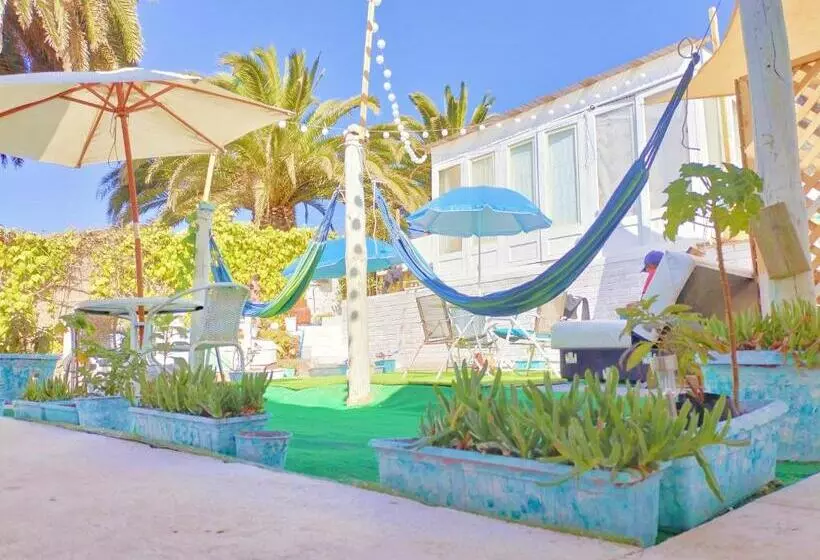 The Ocean Bed & Breakfast