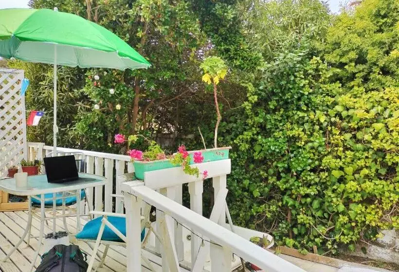 The Ocean Bed & Breakfast