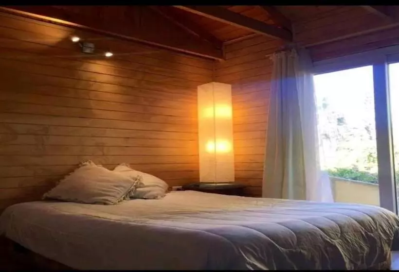 The Ocean Bed & Breakfast