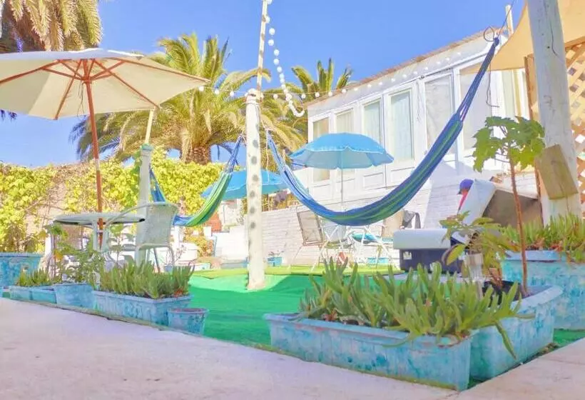 The Ocean Bed & Breakfast