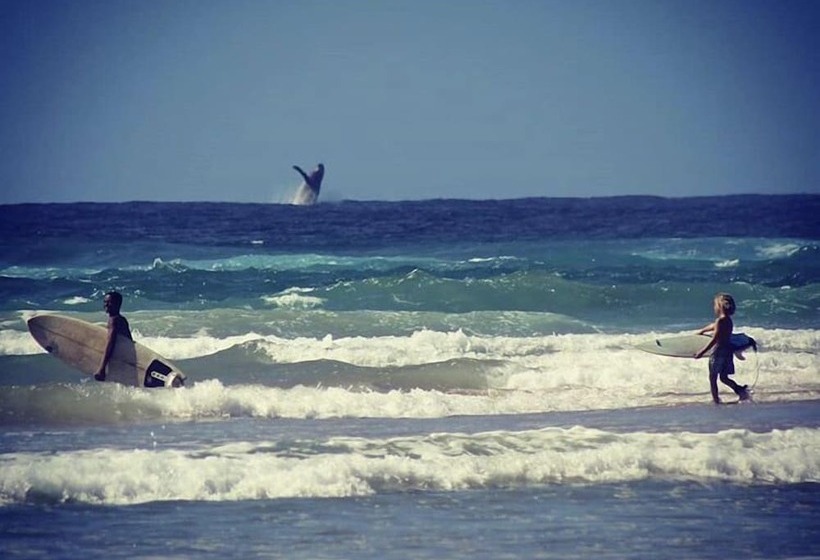 הוסטל Mozambeat Motel