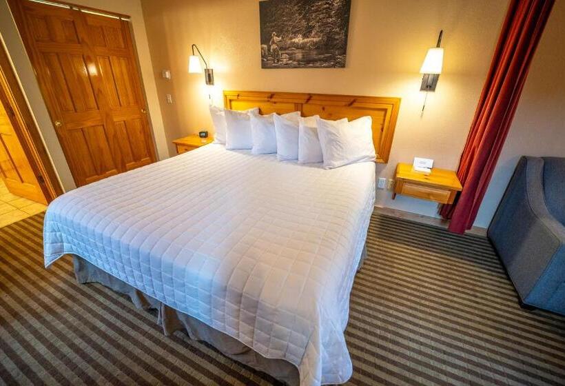 酒店 Appenzell Inn