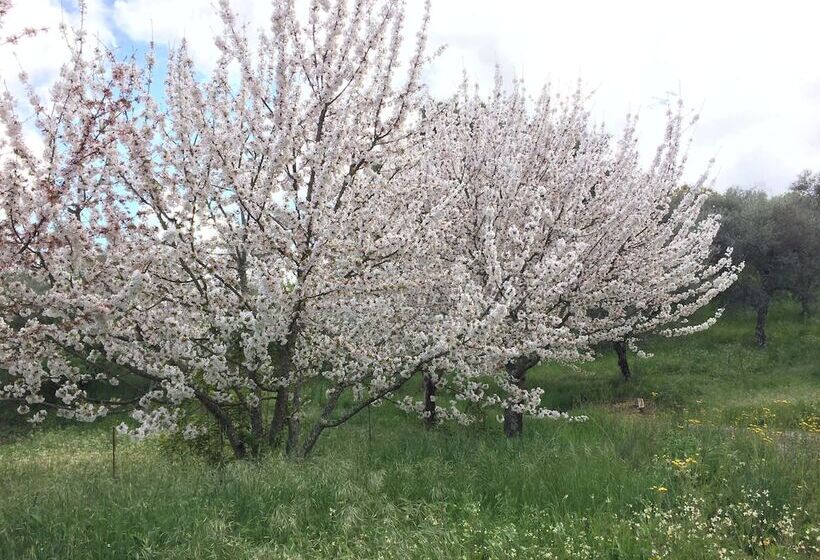 فندق Casas Rurales Finca El Tornero
