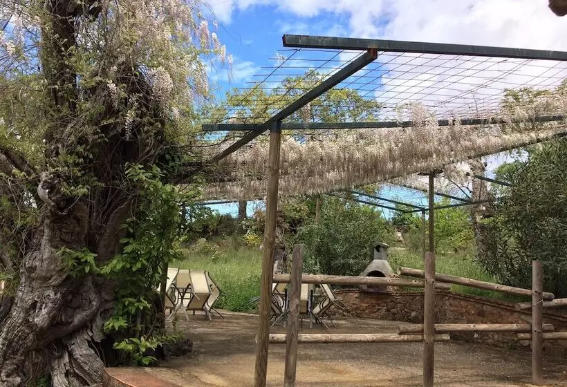 هتل Casas Rurales Finca El Tornero
